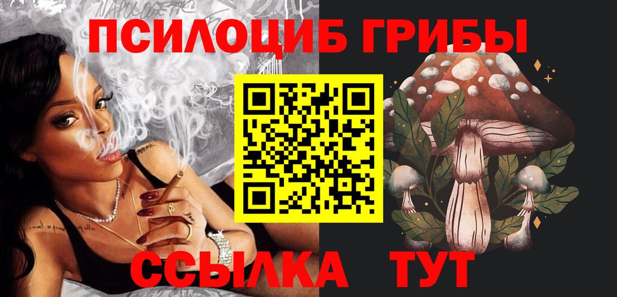 Губкинский  Галлюциногенные грибы Magic Shrooms  Вход с VPN  Псилоцибиновые грибы прущие грибы 